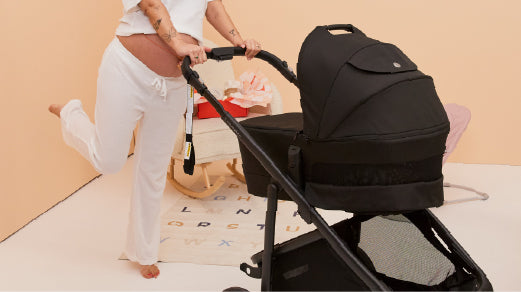 Sale Carriers & Prams