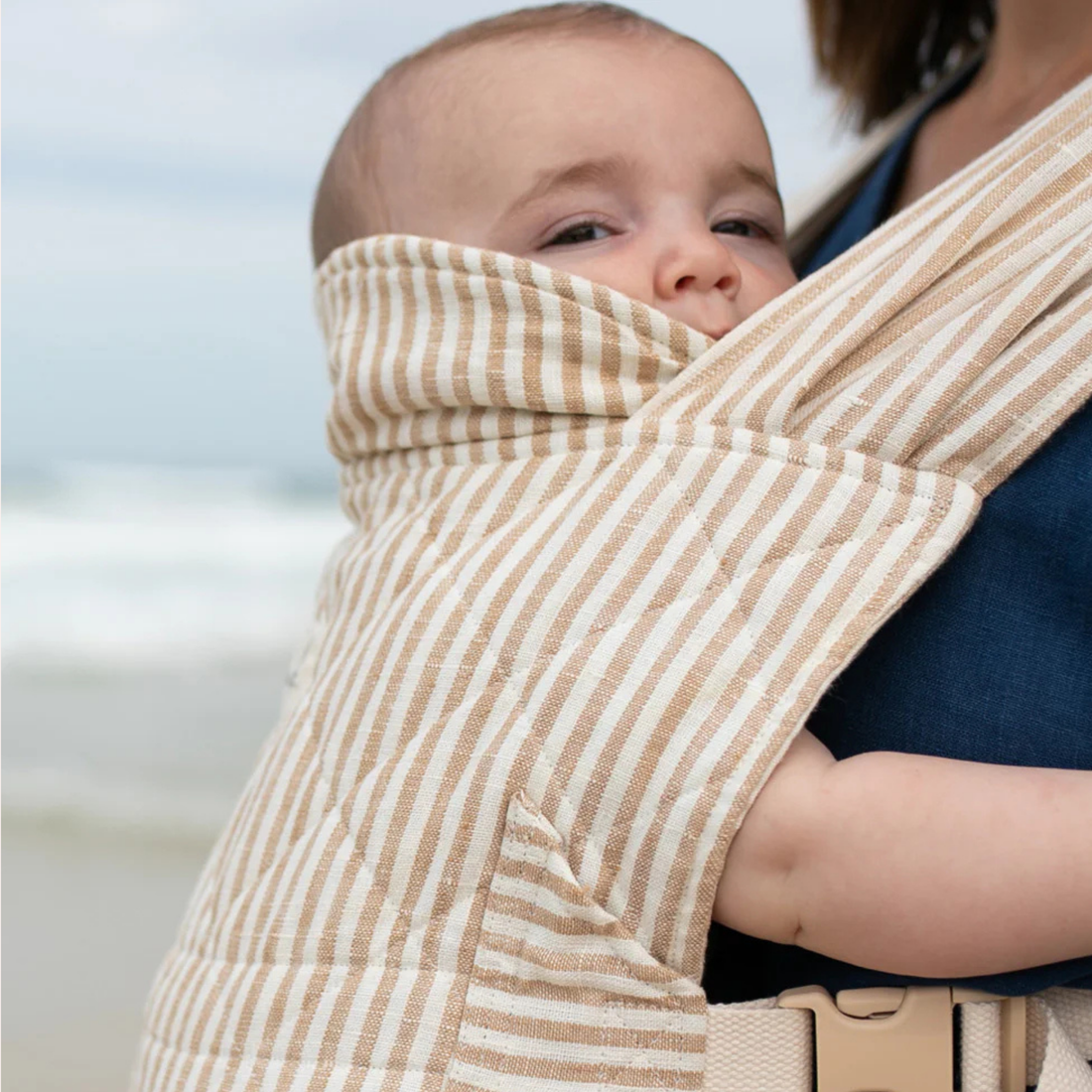 Daily Carrier - Burleigh