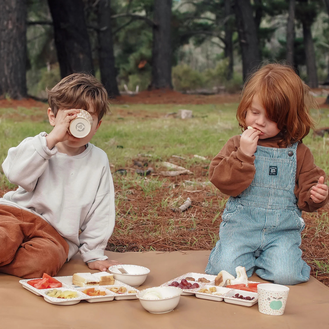 Divided Plate Set - On Safari