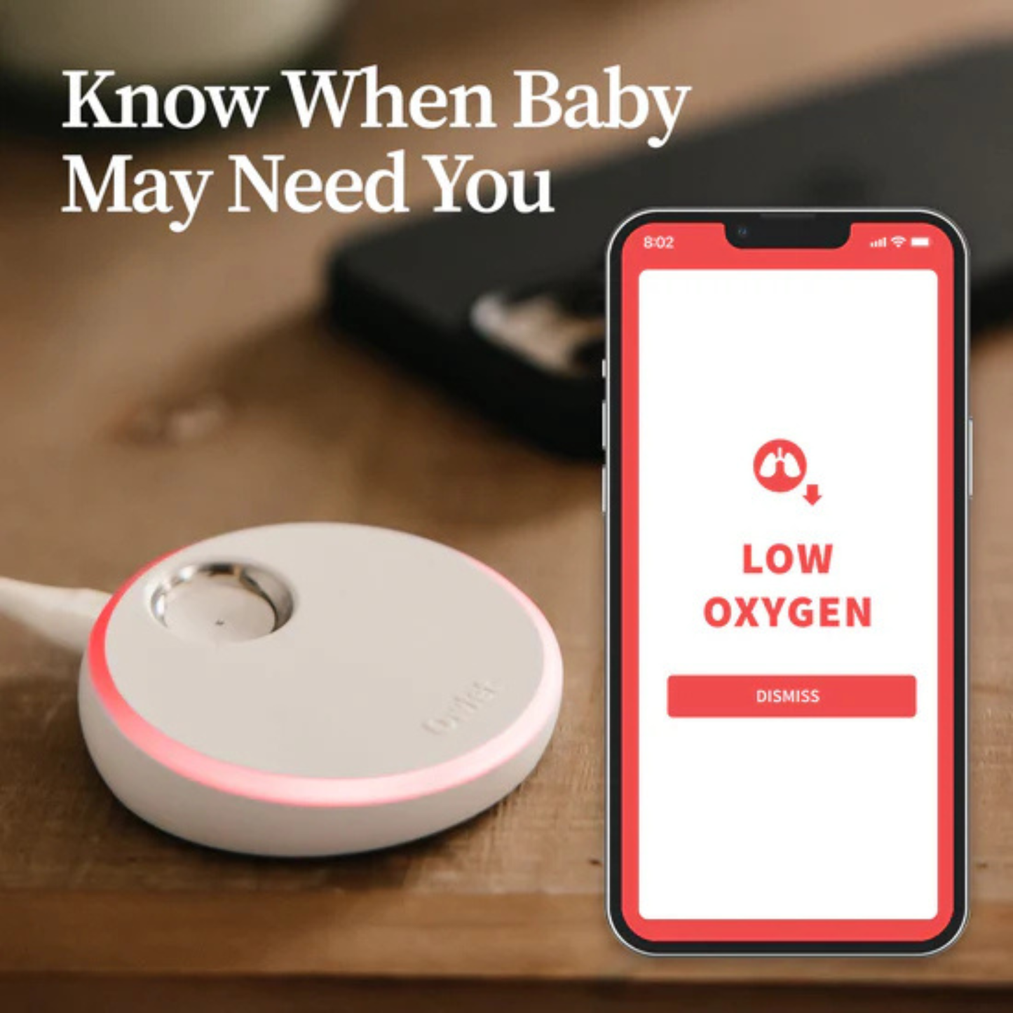 Dream Sock + Camera Duo - Mint