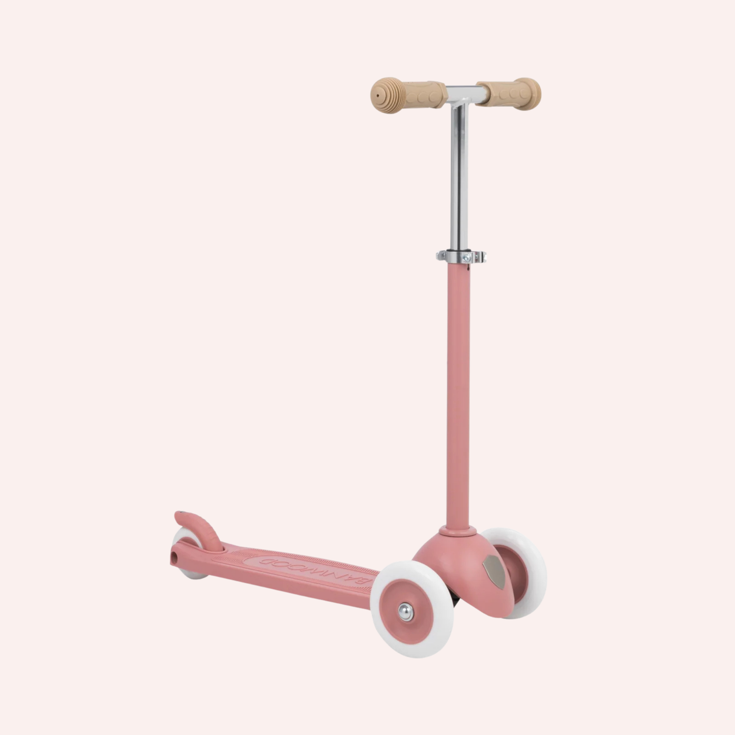 Eco Scooter - Raspberry