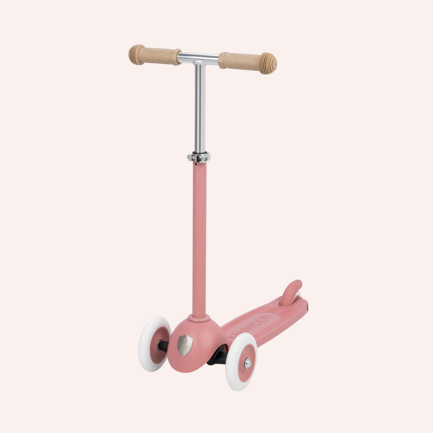Eco Scooter - Raspberry