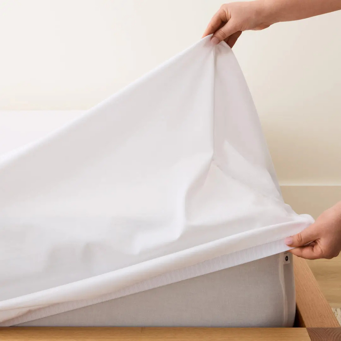 Eden Cotton Fitted Sheet - White