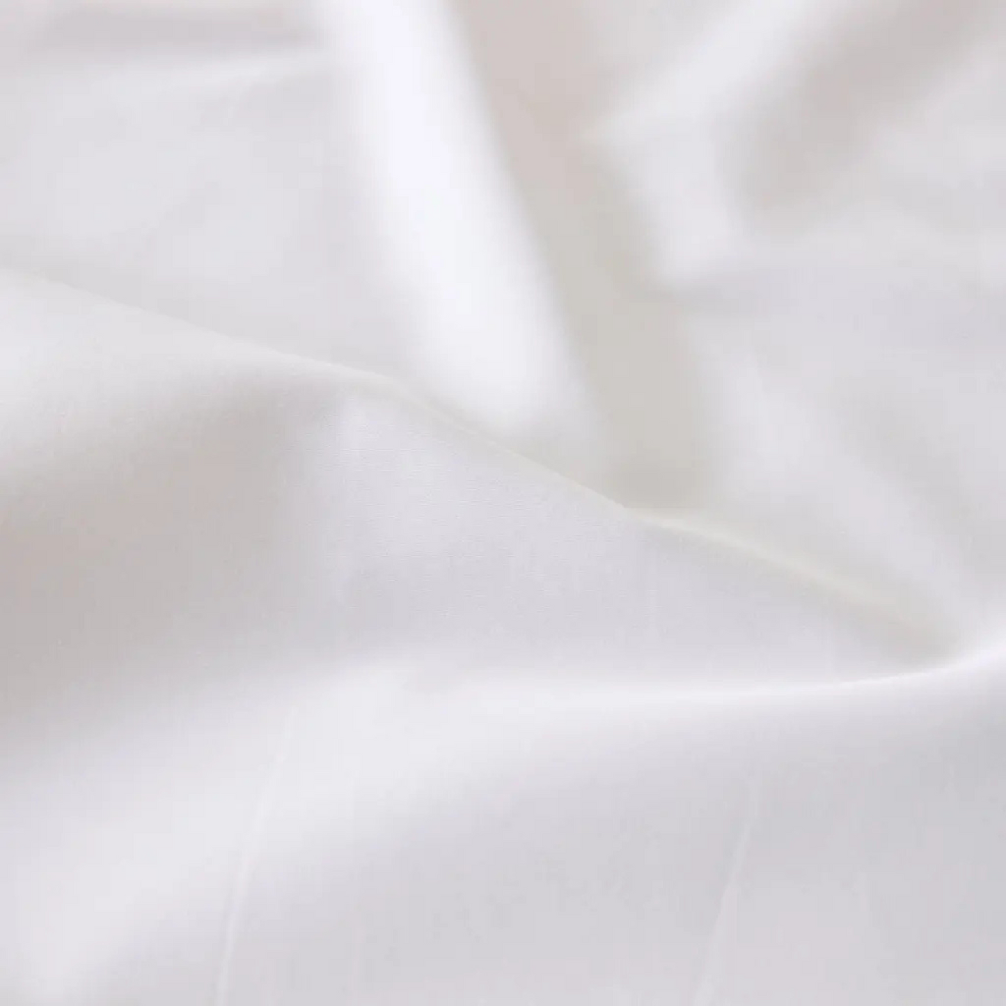 Eden Cotton Fitted Sheet - White