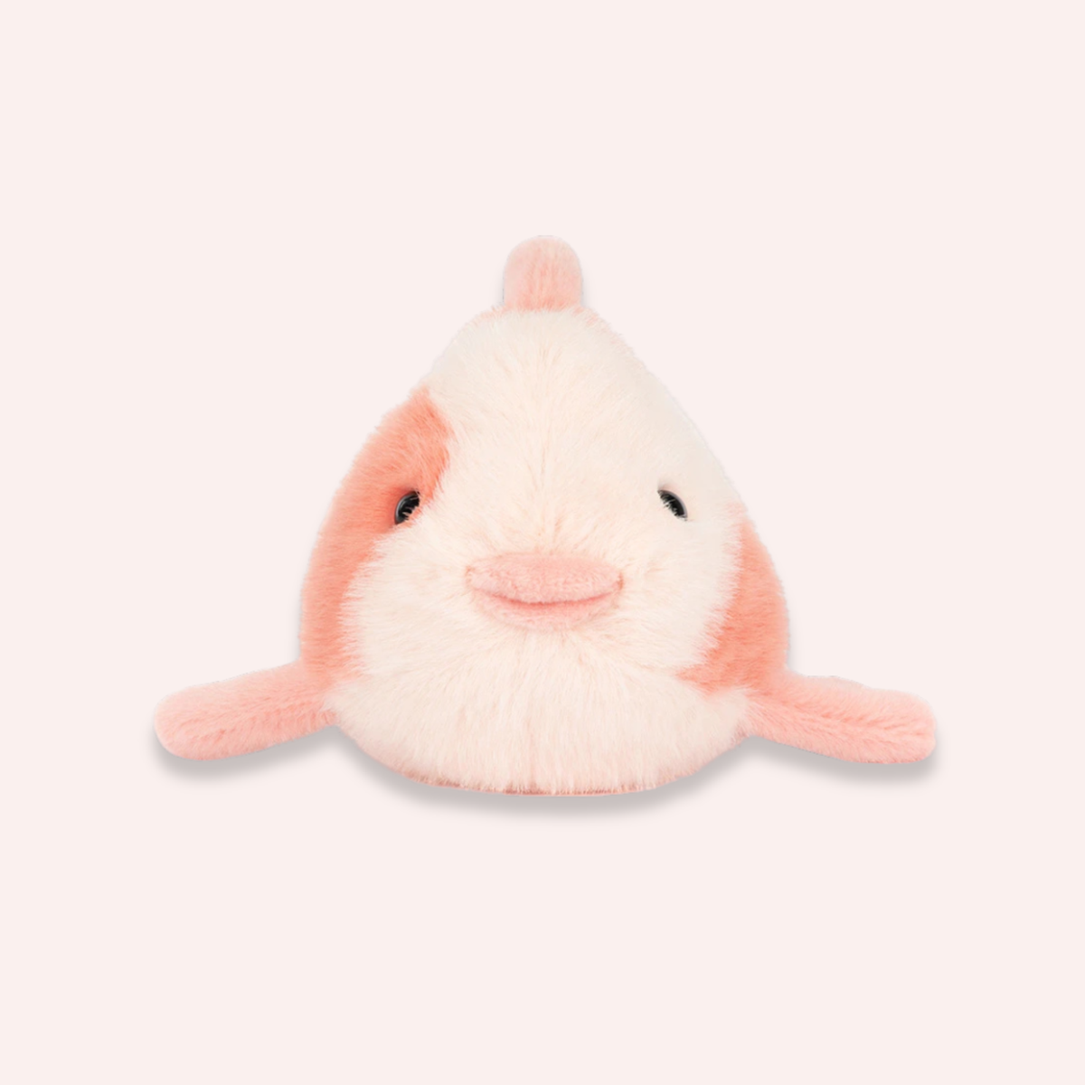 Fancy Carp