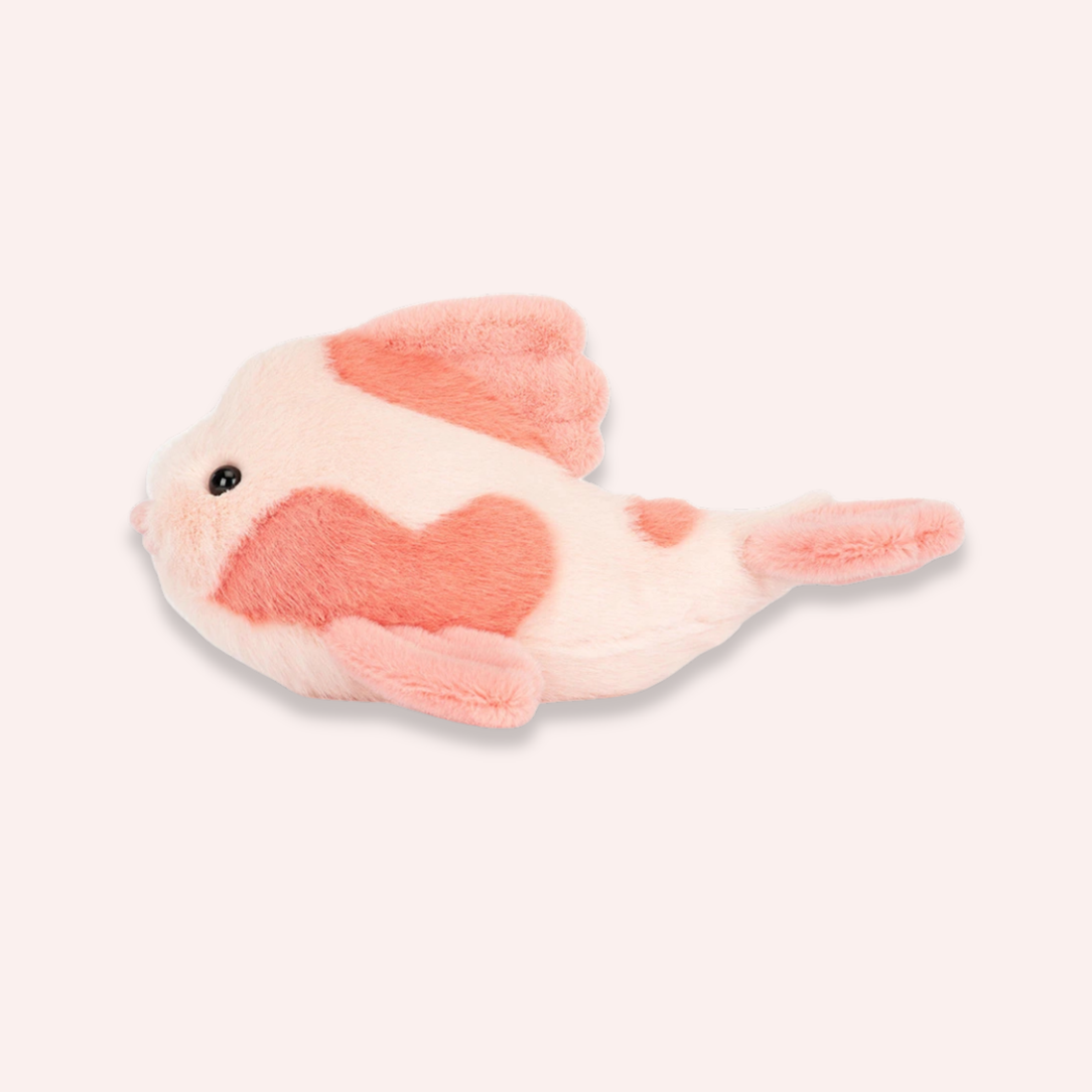 Fancy Carp