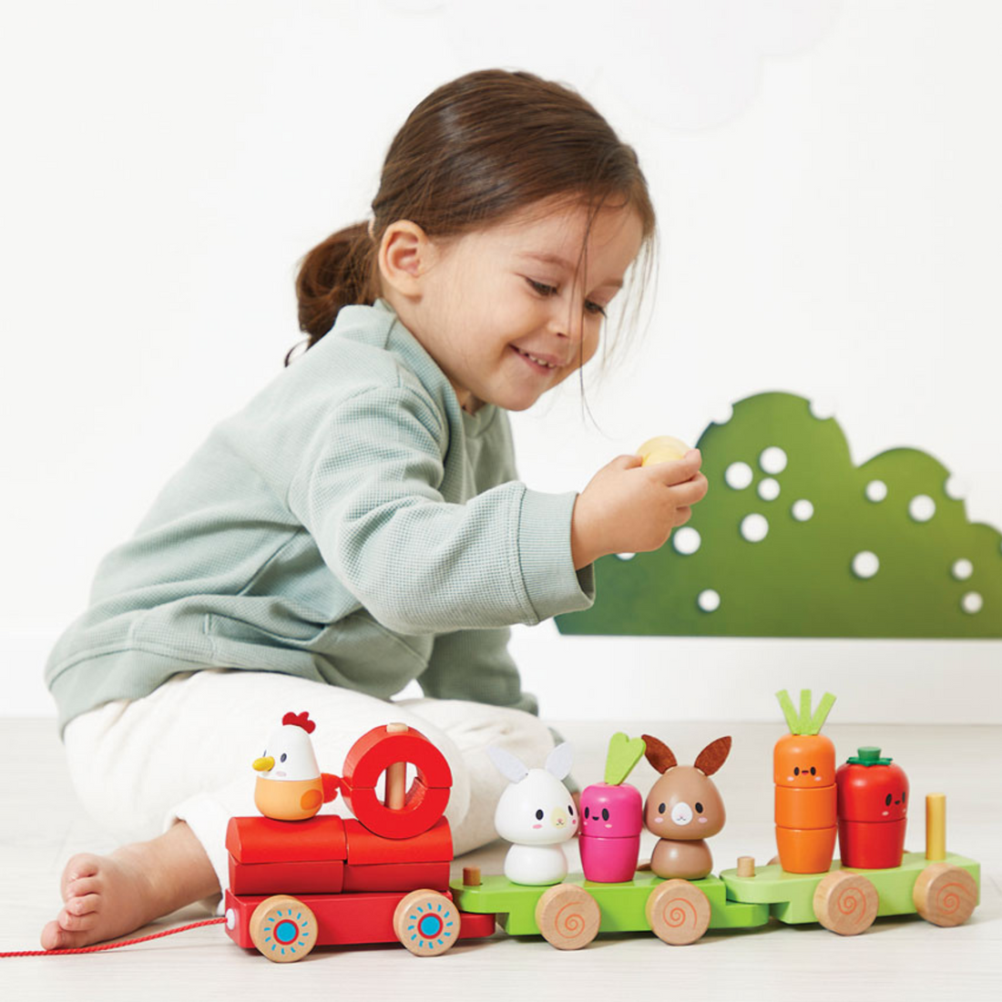 Farmyard Train