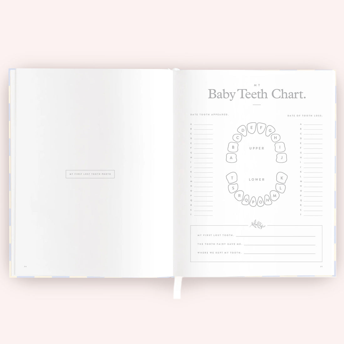 Baby Book - Blue Check