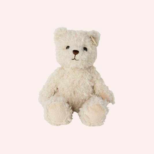 Frederick the Traveller Bear in Giftbox