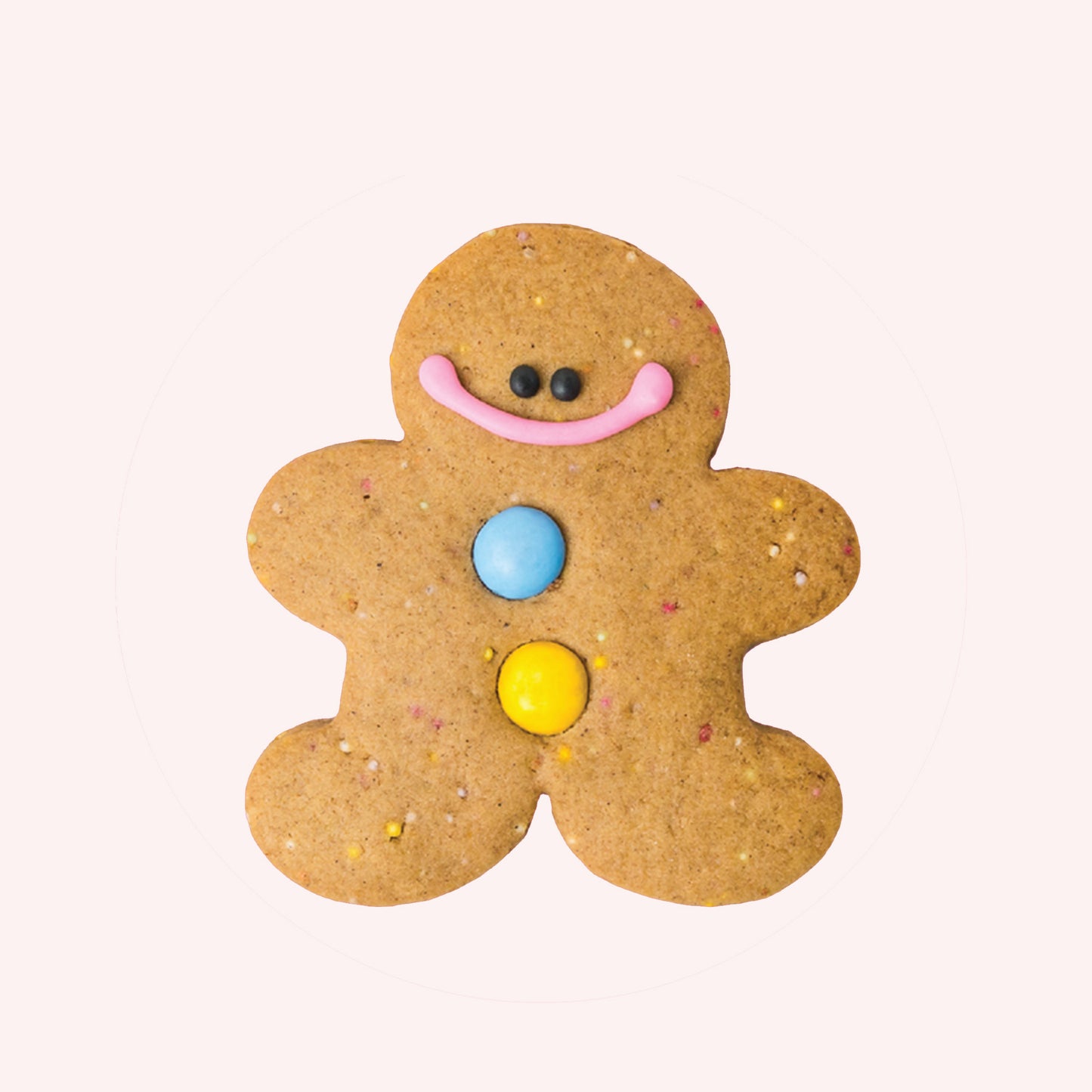 Gingerbread Cookie - Funfetti