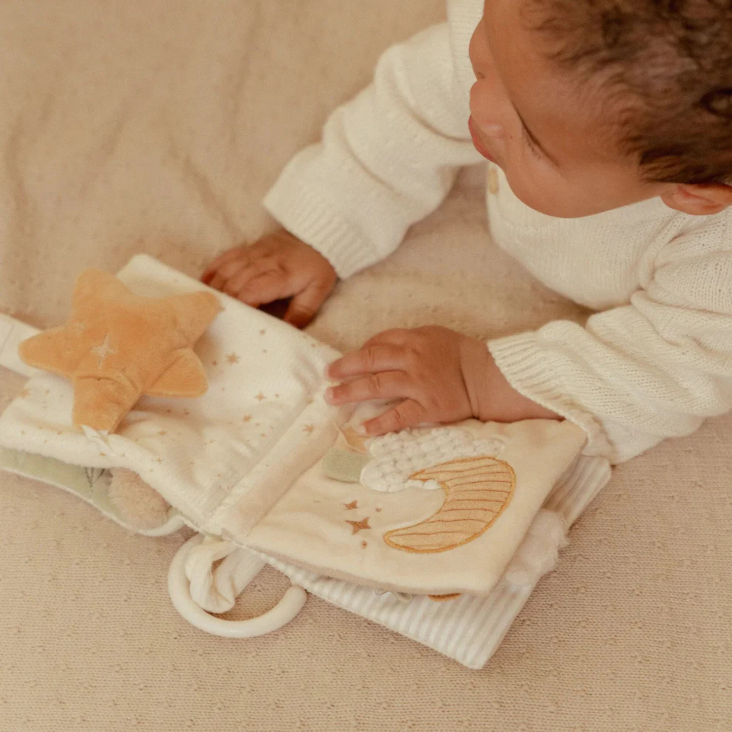 Goose Stroller Booklet