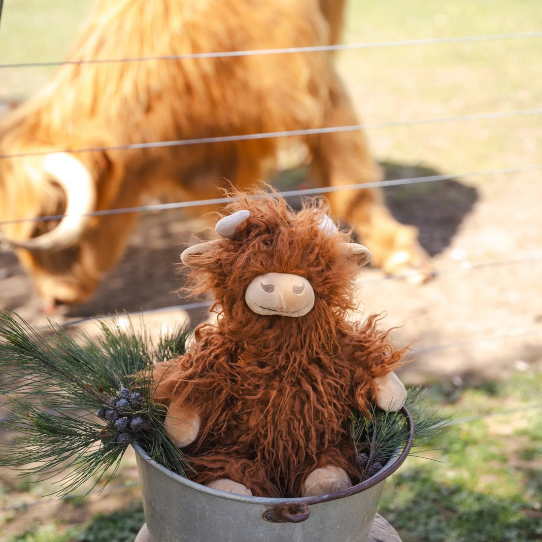 Henry the Highland Cow - Rust