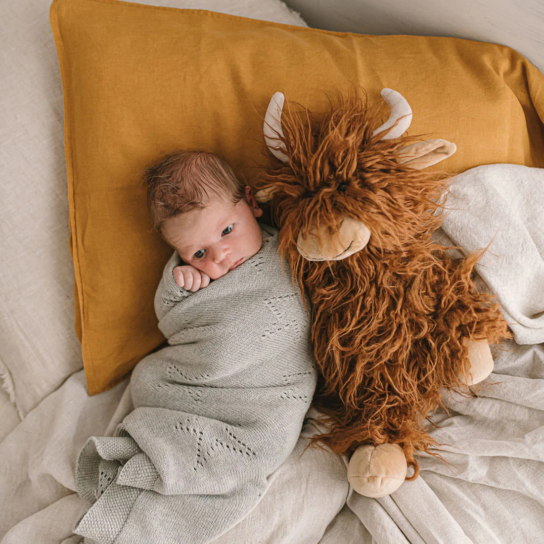 Henry the Highland Cow - Rust
