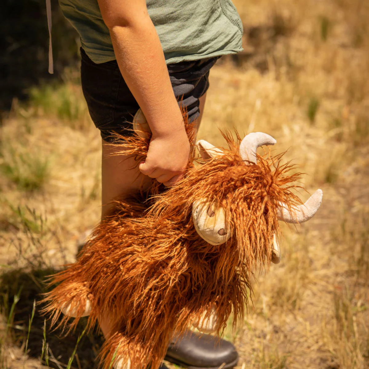 Henry the Highland Cow - Rust