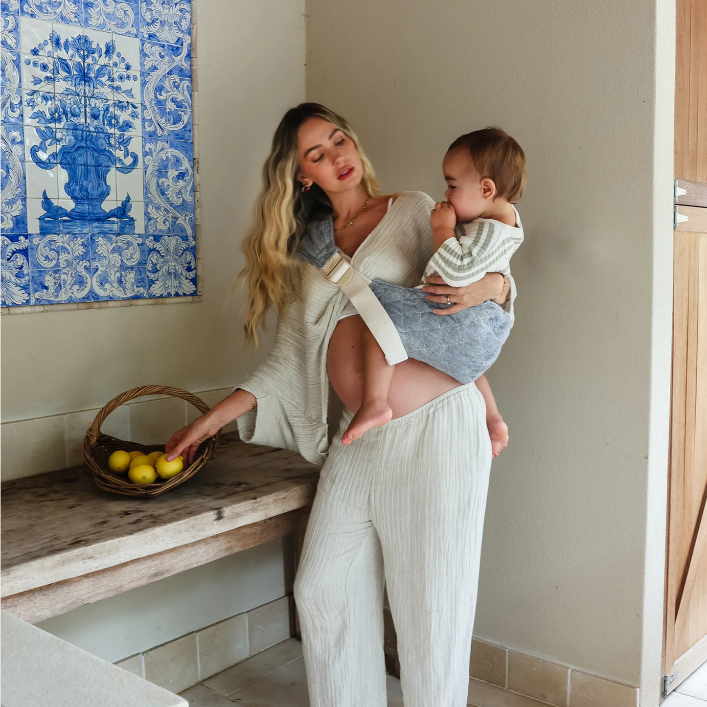 Hipsy Carrier - Lane