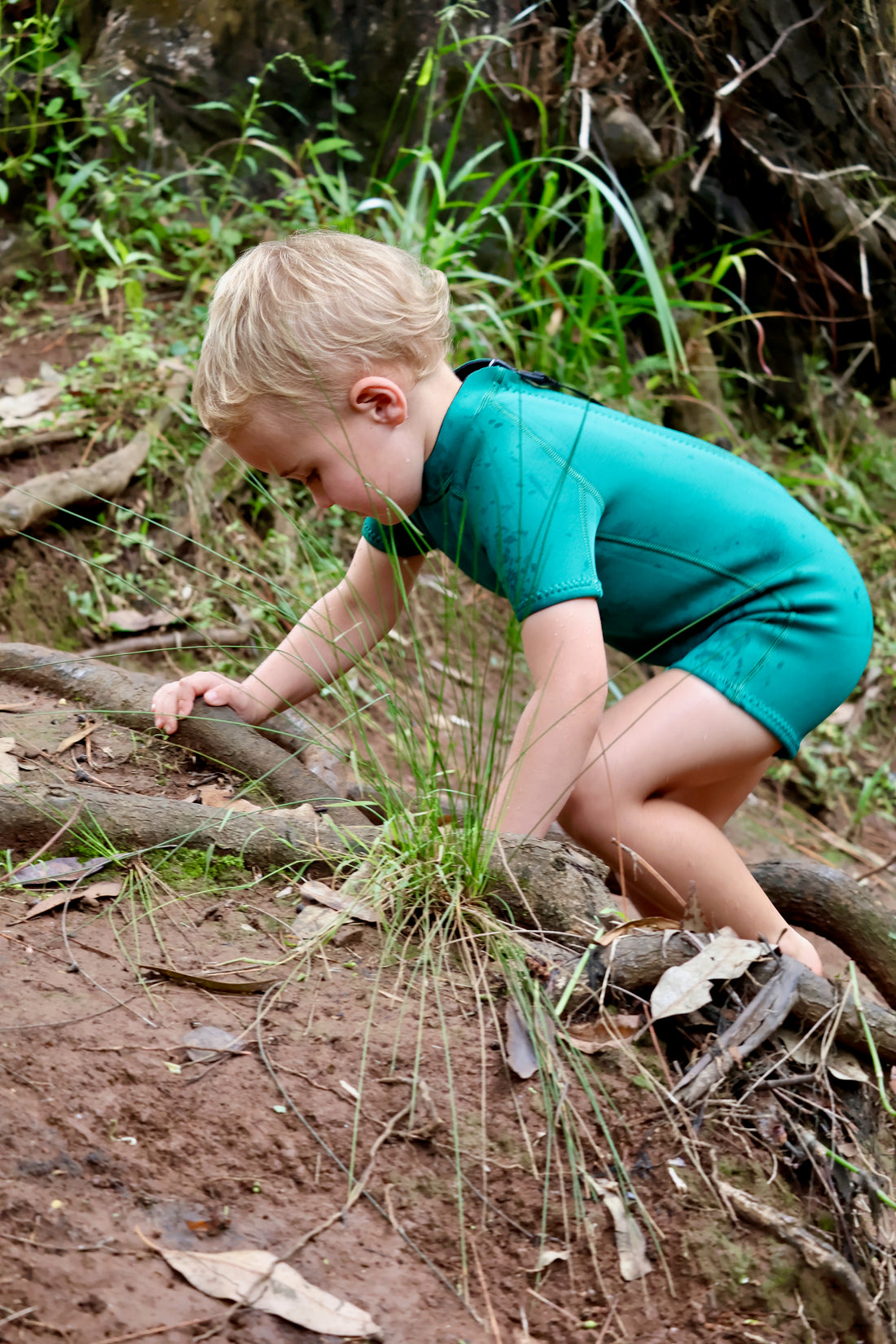 Short Sleeve Wetsuit - Forest Green