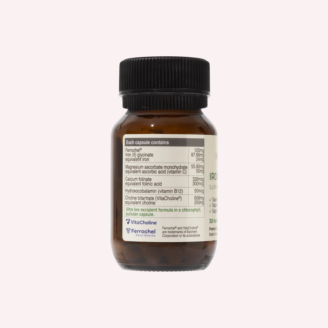 Iron & Brain Support