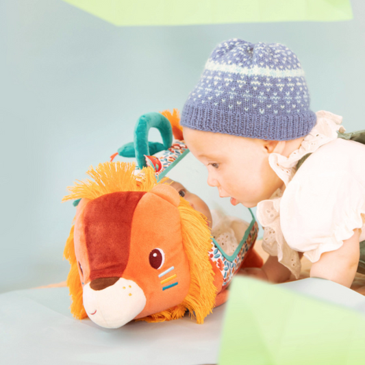 Jack the Lion Activity Triangle