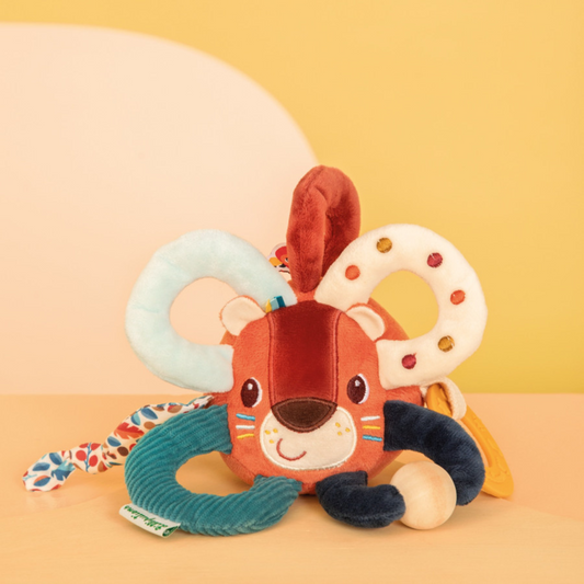 Jack the Lion Sensory Rings