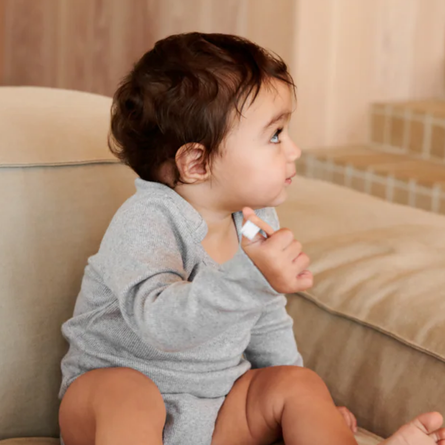 Janelle Cat Toothbrush 2 pack - Tuscany Rose