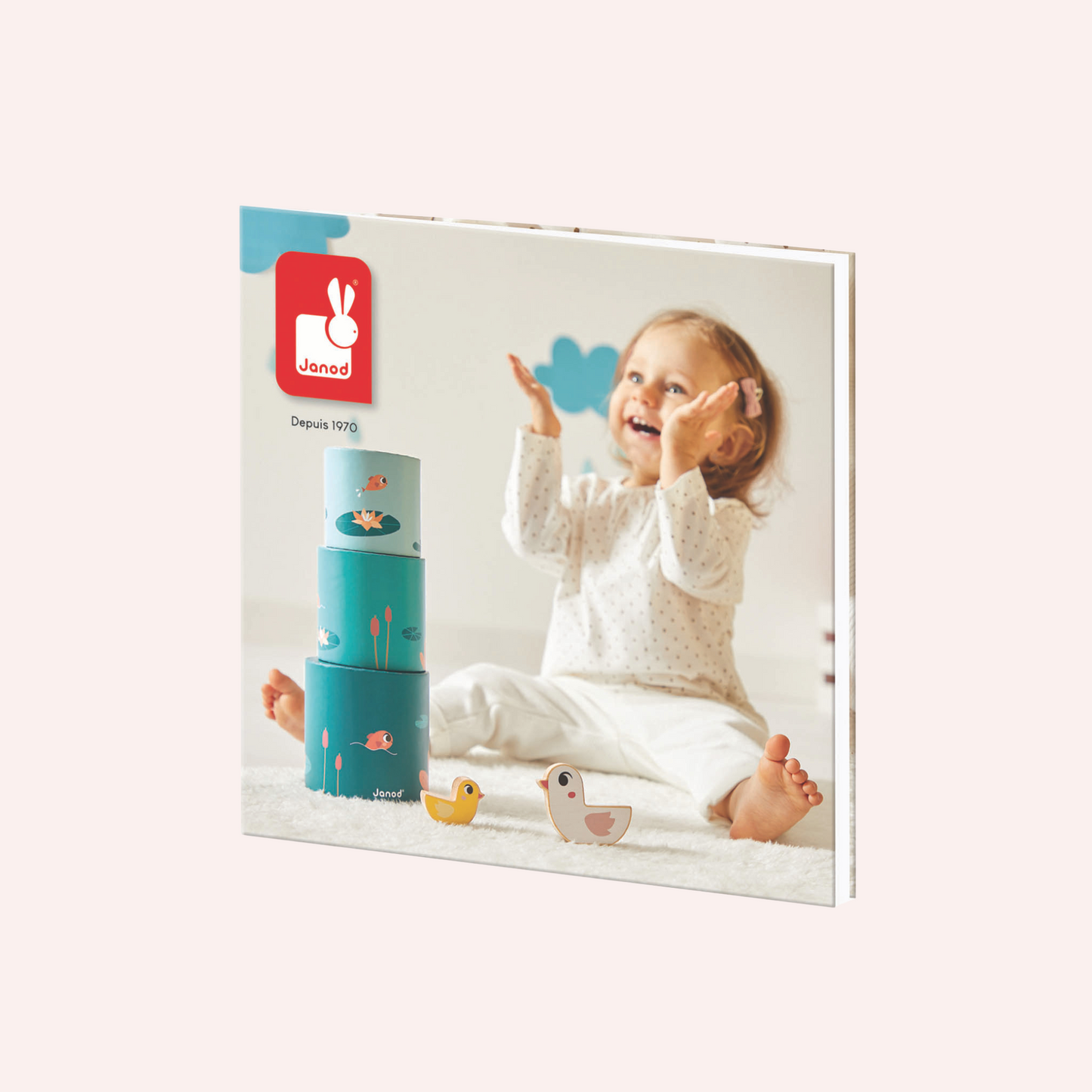 Janod Box - 12 Months