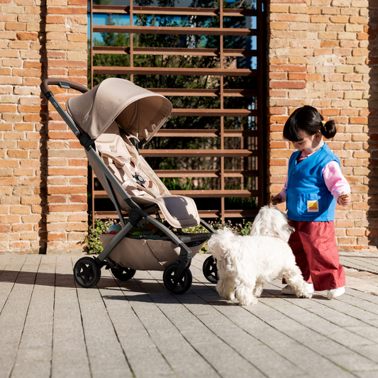Joolz AER2 Stroller