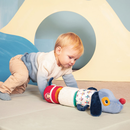 Jules Dog Sound Roll