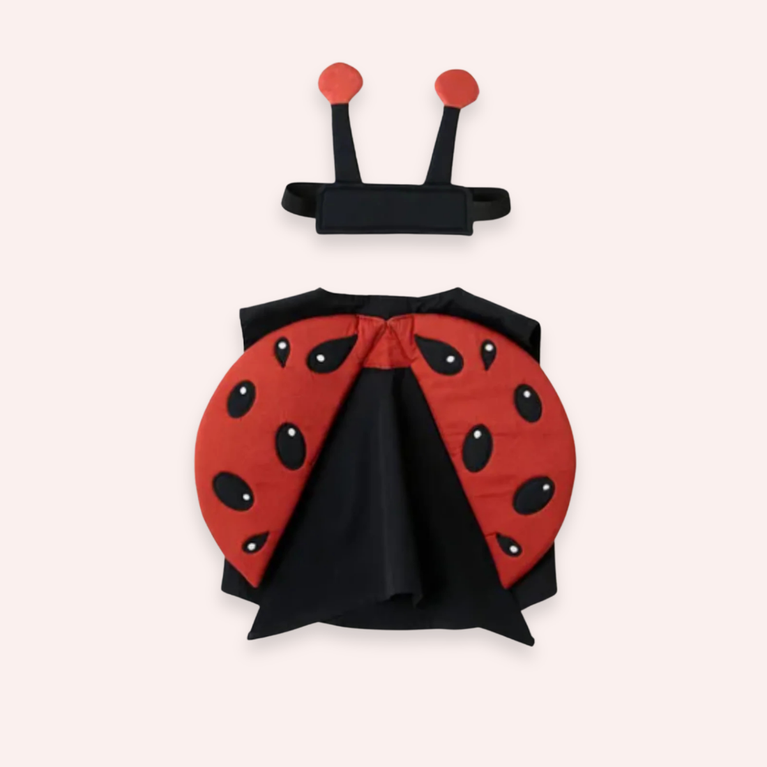 Ladybug Dress Up