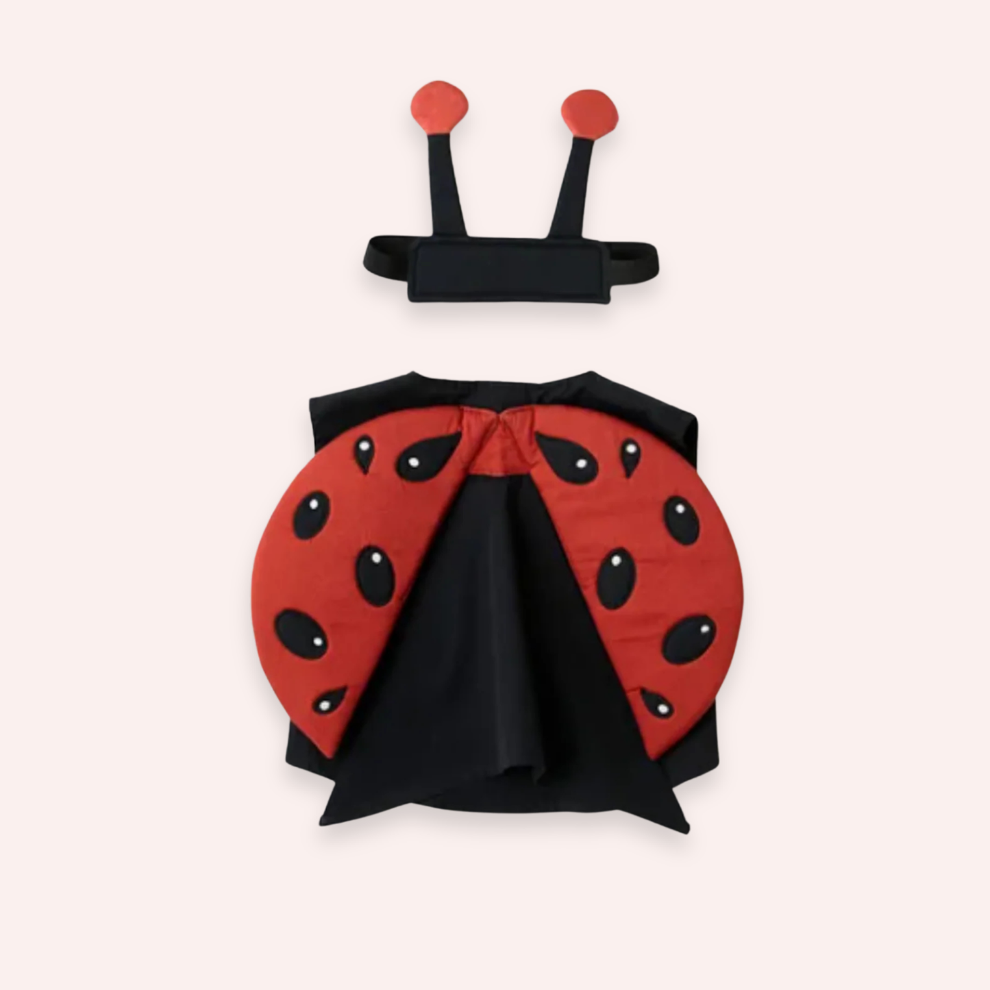 Ladybug Dress Up