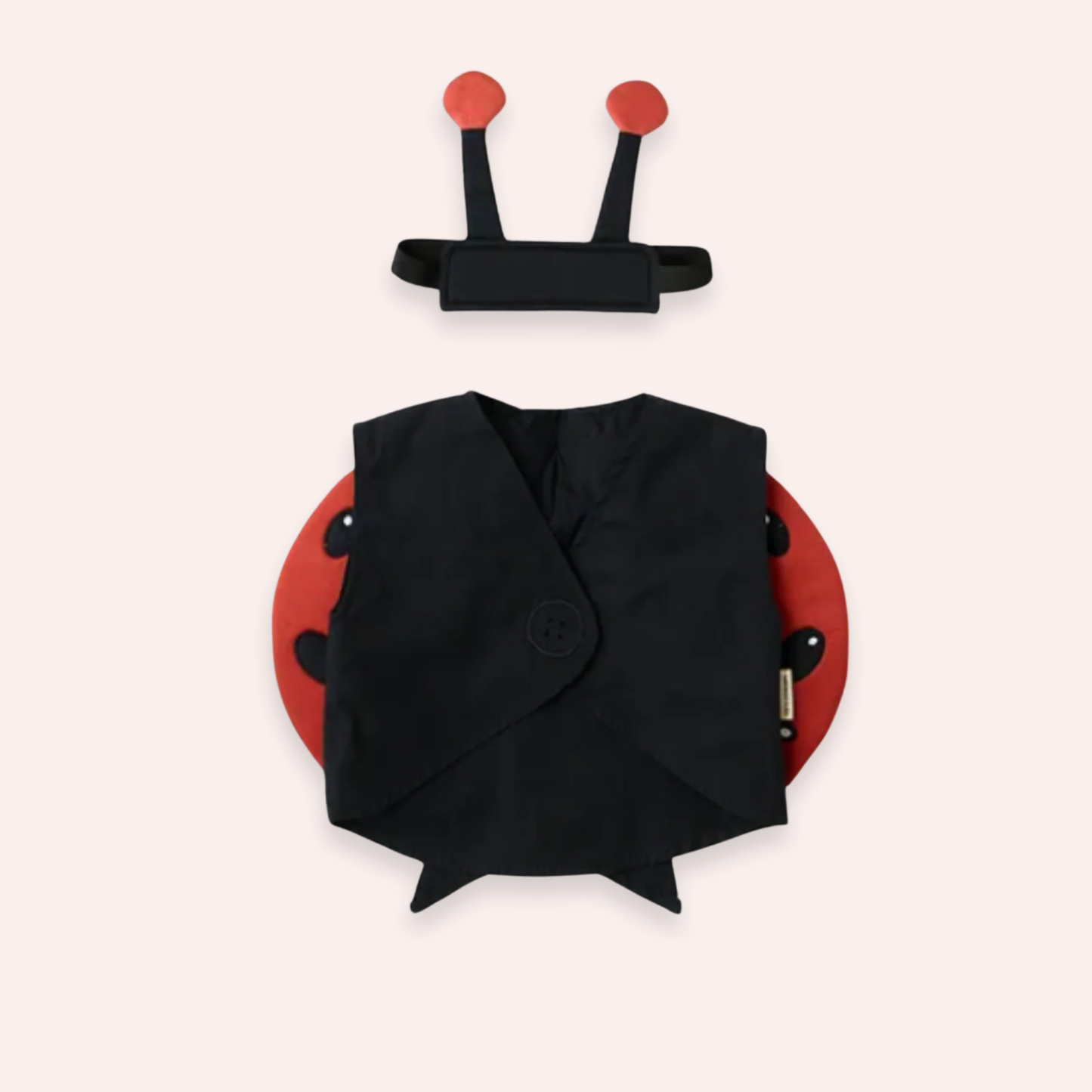 Ladybug Dress Up