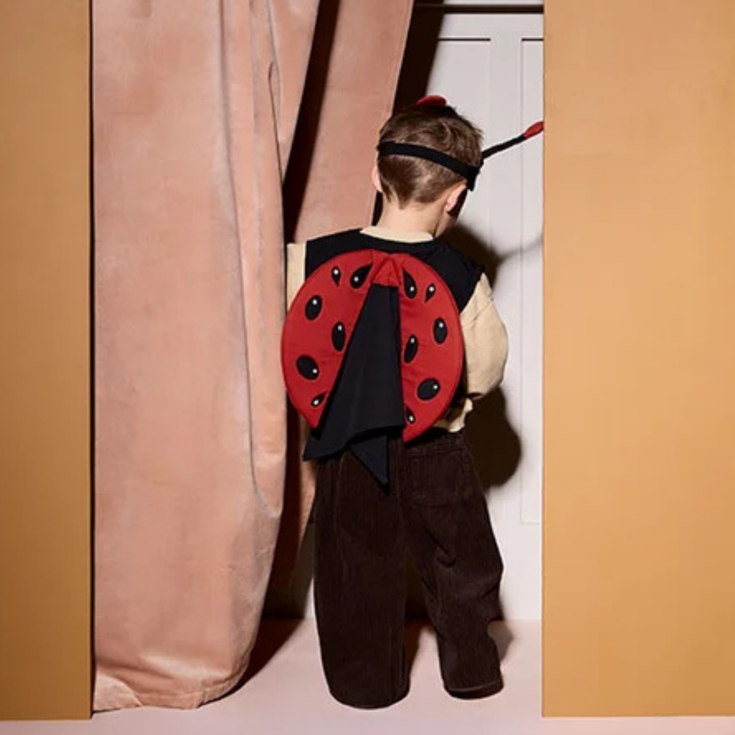 Ladybug Dress Up