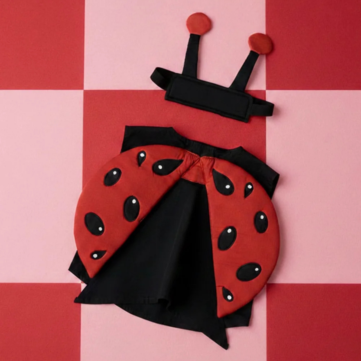 Ladybug Dress Up