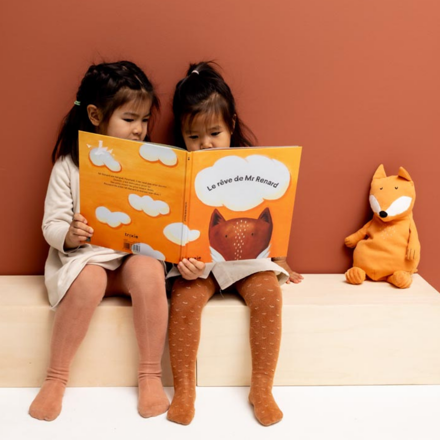 Large Plush Toy - Mr. Fox