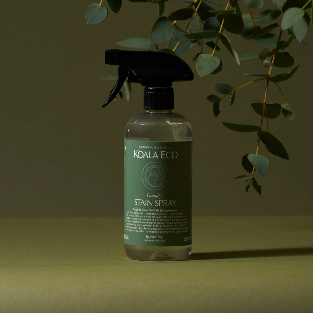 Laundry Stain Spray