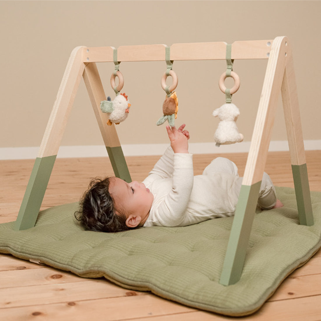 Little Farm Babygym