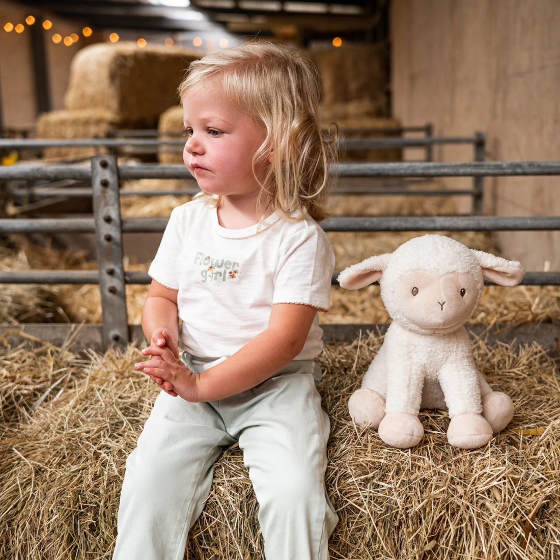 Little Farm Cuddle Sheep
