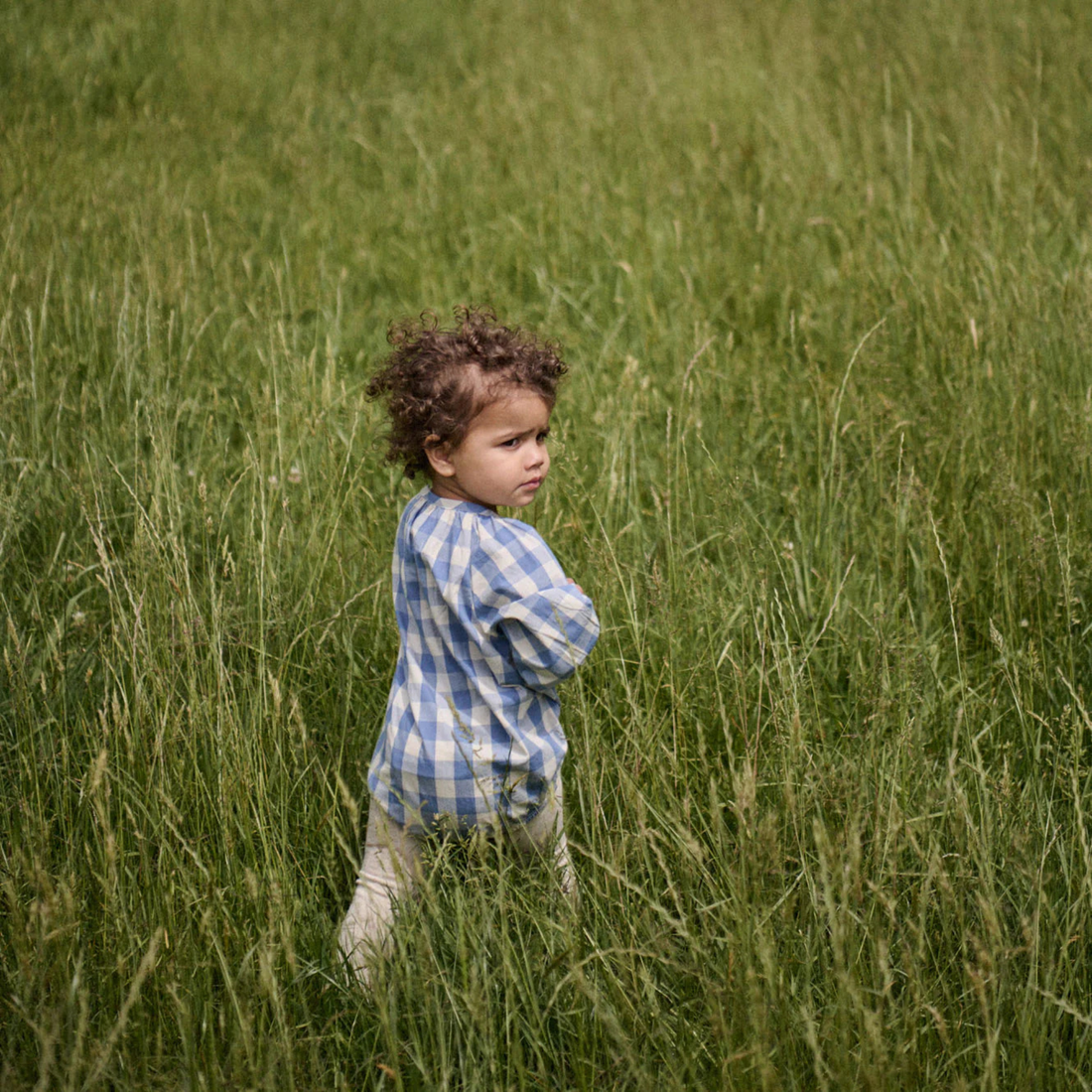 Meadow Bodysuit Gingham - Bluebelle Check