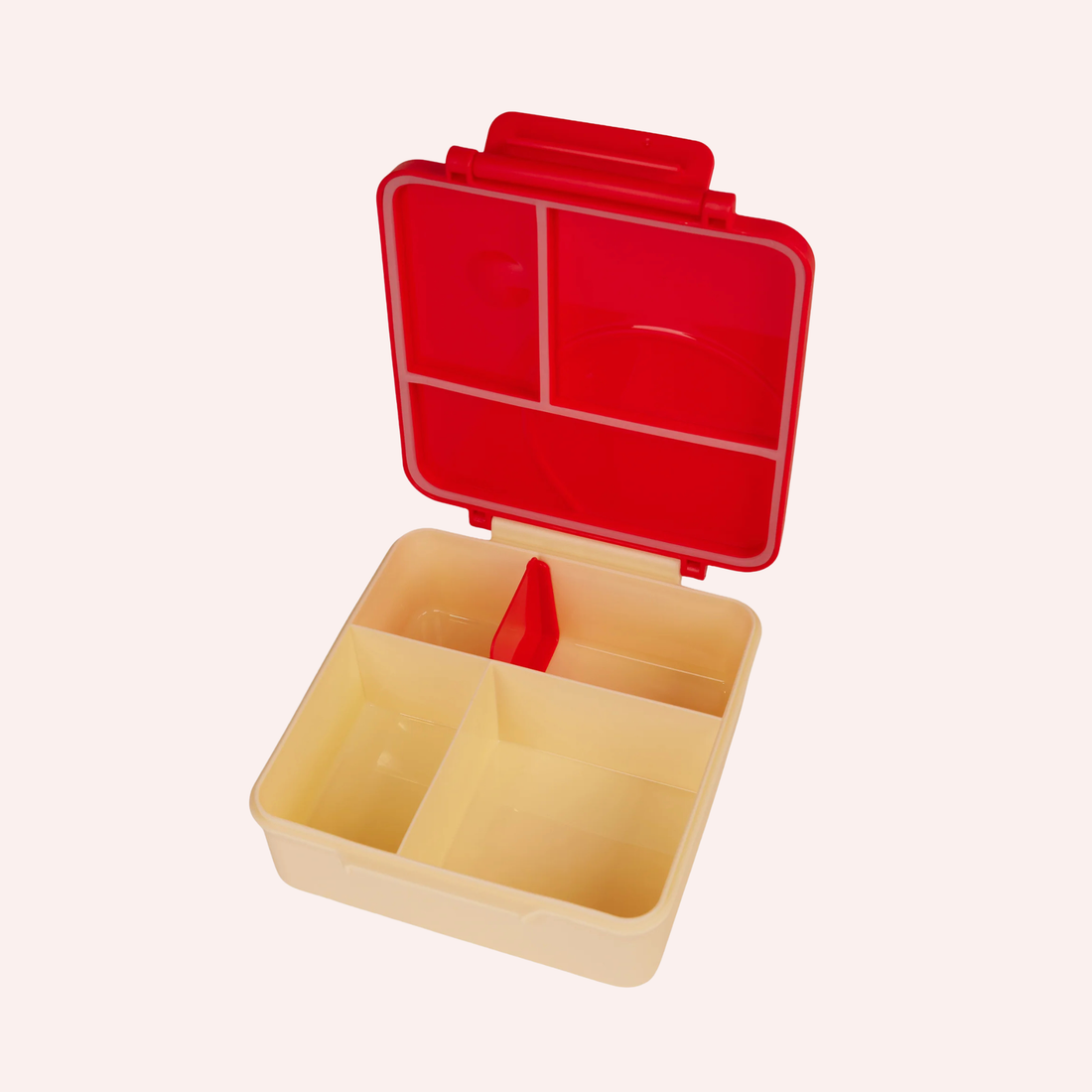 Mini Bento Lunch Box - Berry Patch