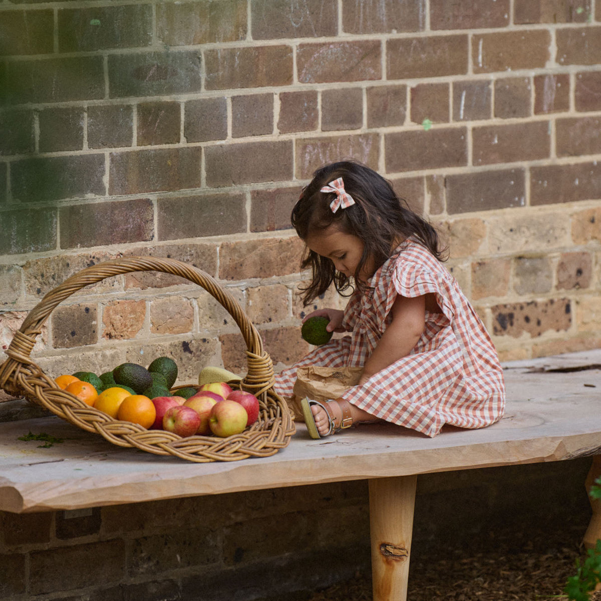 Una Dress - Dandelion Gingham