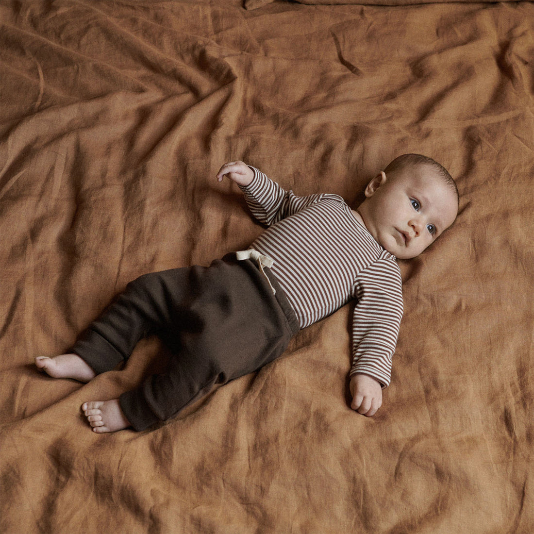 Long Sleeve Bodysuit - Pinecone Stripe