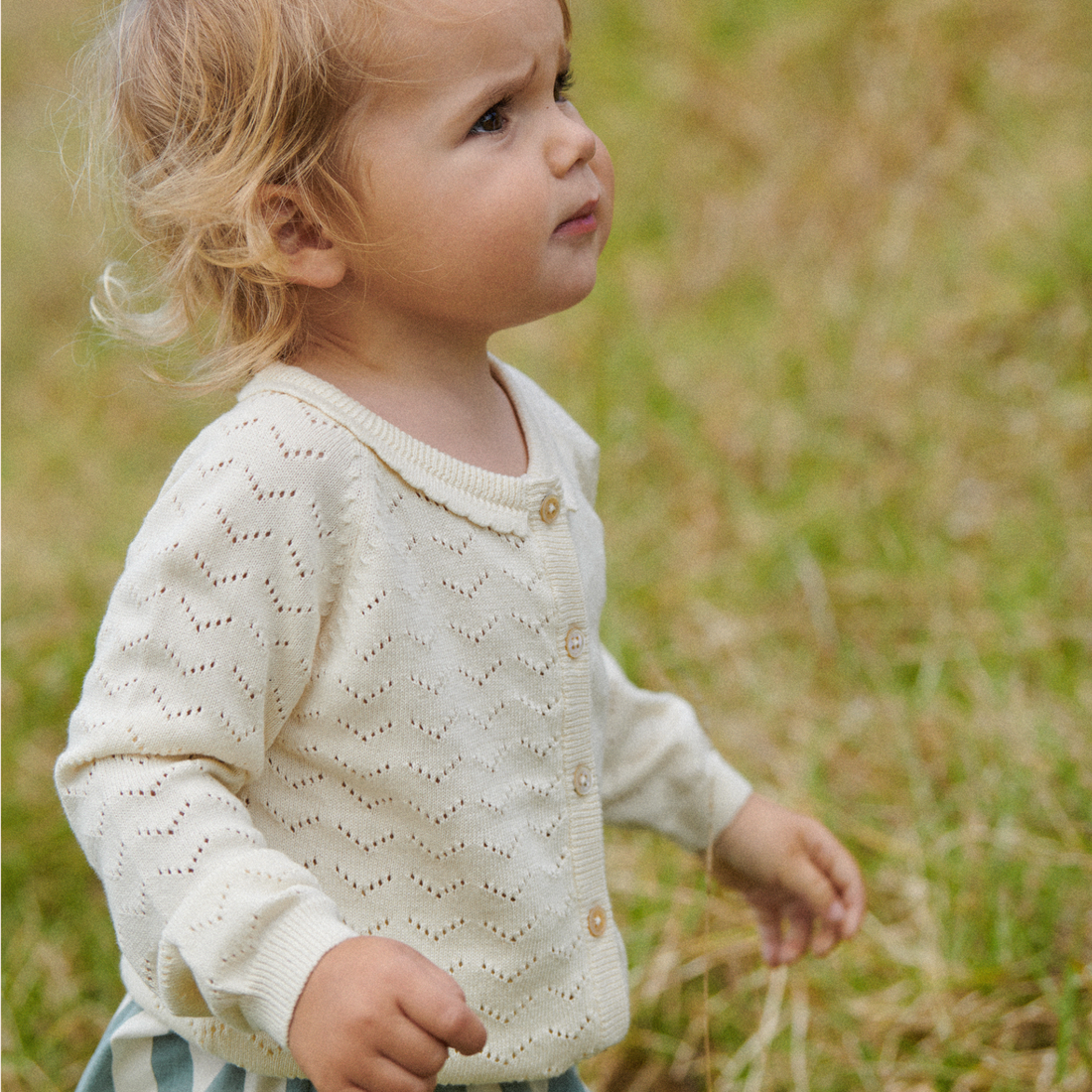 Piper Cardigan - Natural Pointelle
