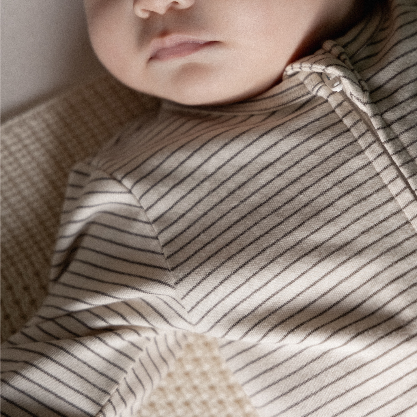 Dreamlands Suit - Mushroom Pinstripe