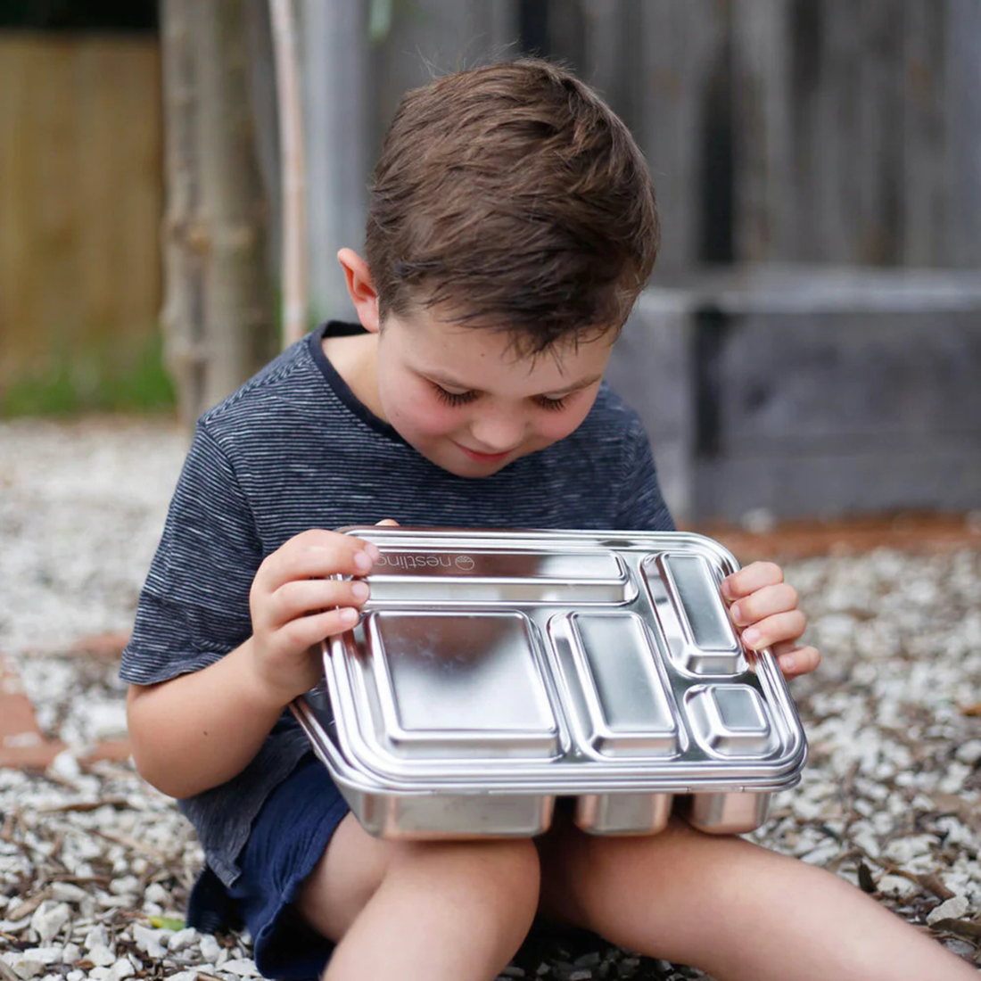 Lunch Boxes
