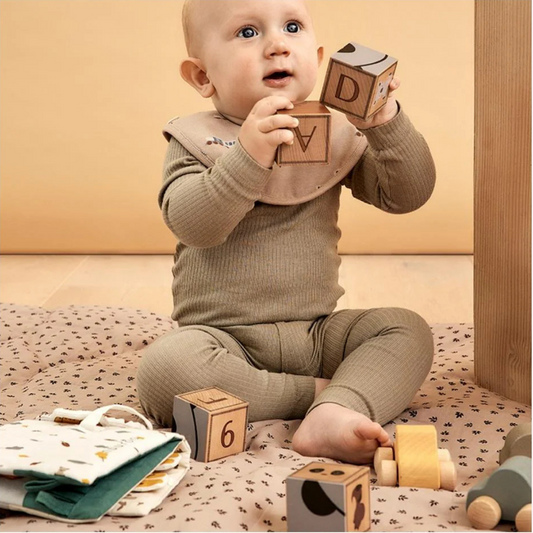 Otto bricks (Wooden bricks 9pc)