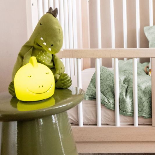 Night Light - Mr Dino