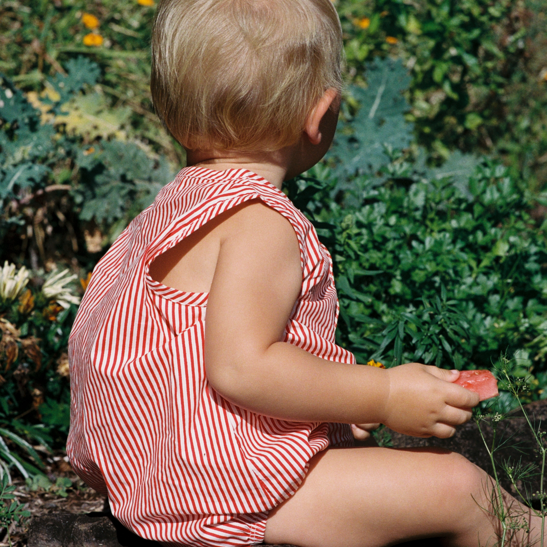 Cedar Suit - Meri Stripe