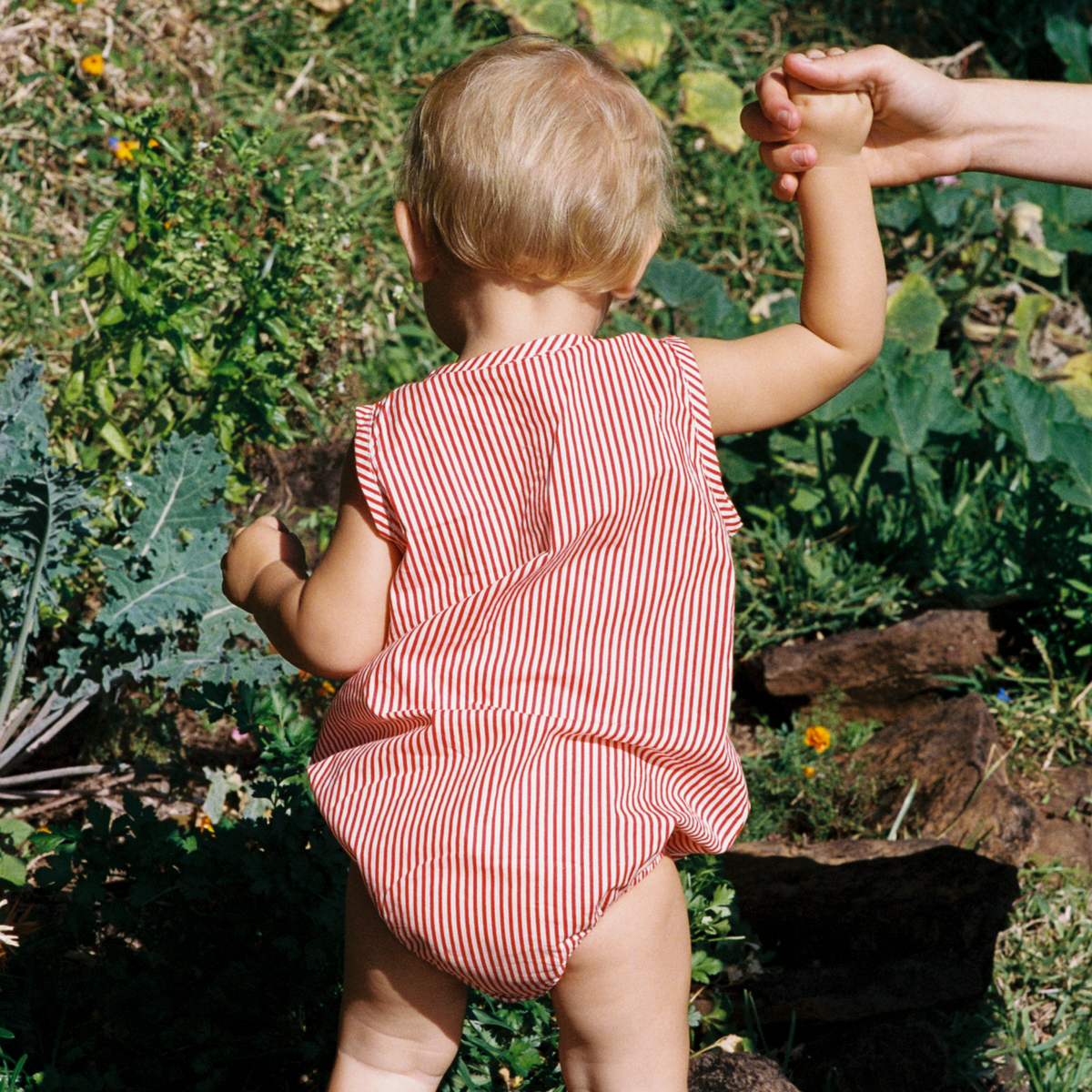 Cedar Suit - Meri Stripe