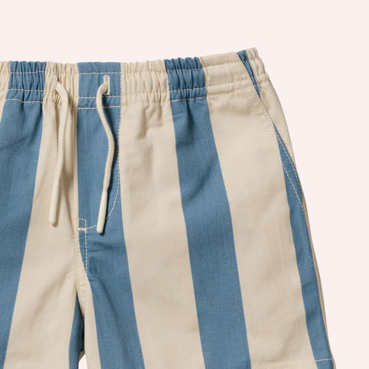 Swim Board Short - Ocean Stripe