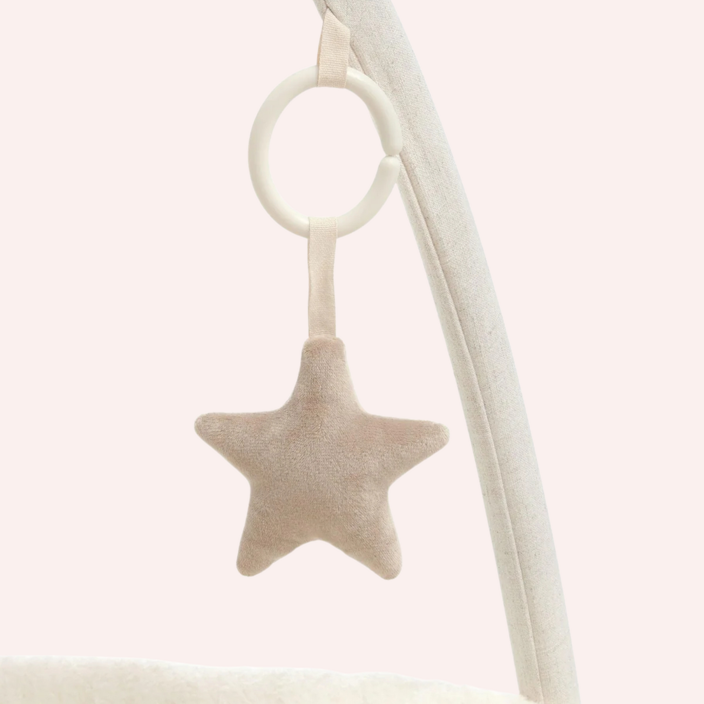 Playmat & Gym - Welcome to the World Duckling