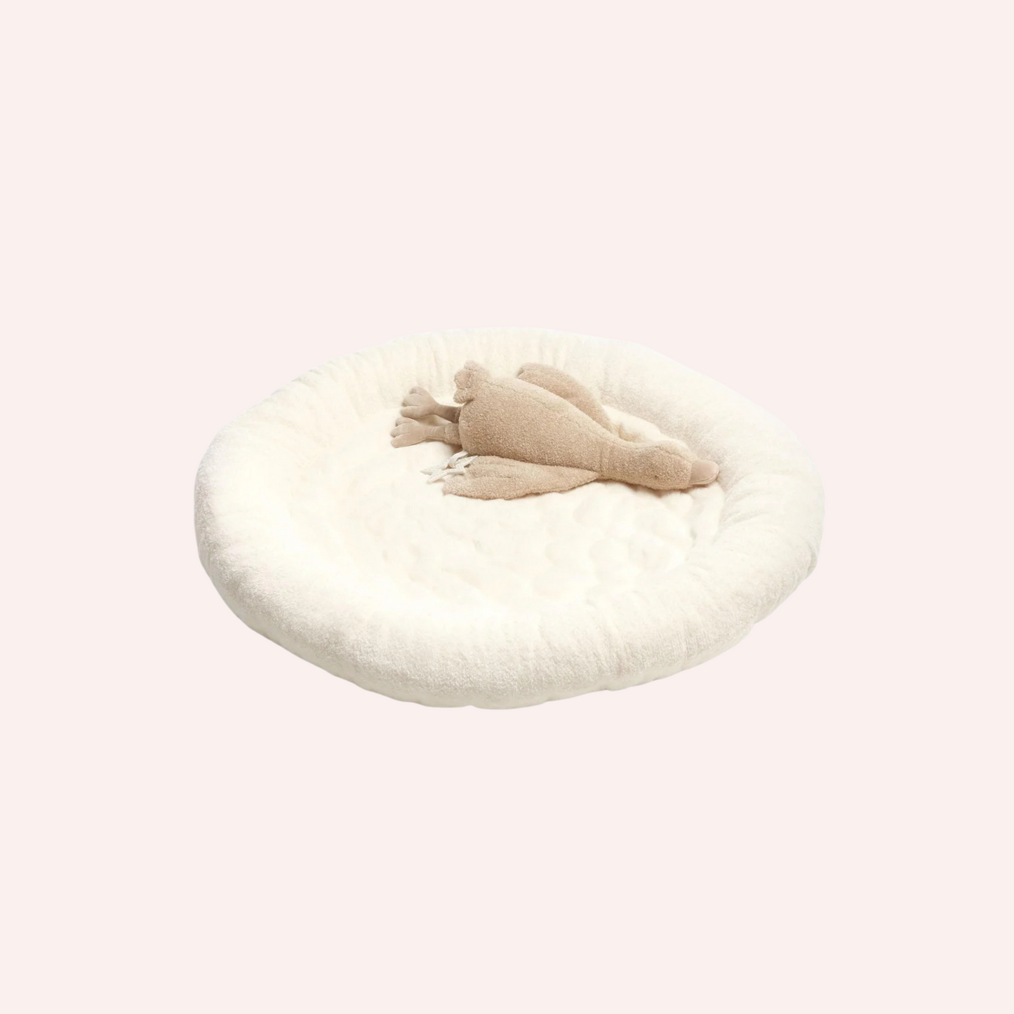 Playmat & Gym - Welcome to the World Duckling